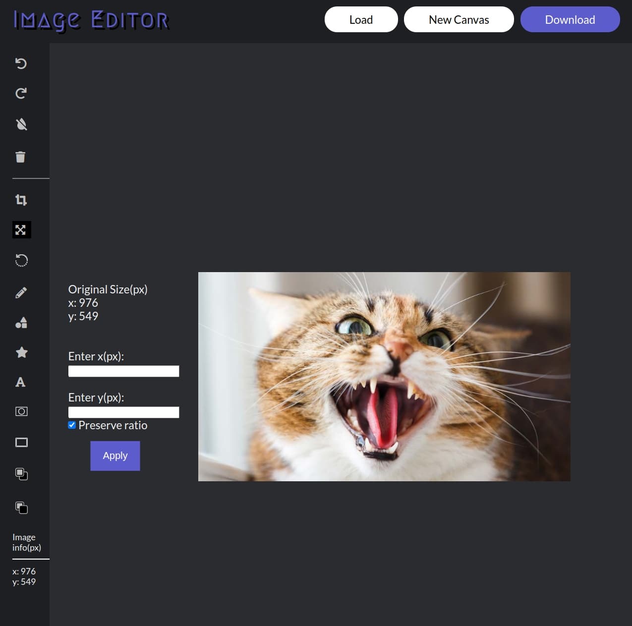 Screenshot of Web Image editor